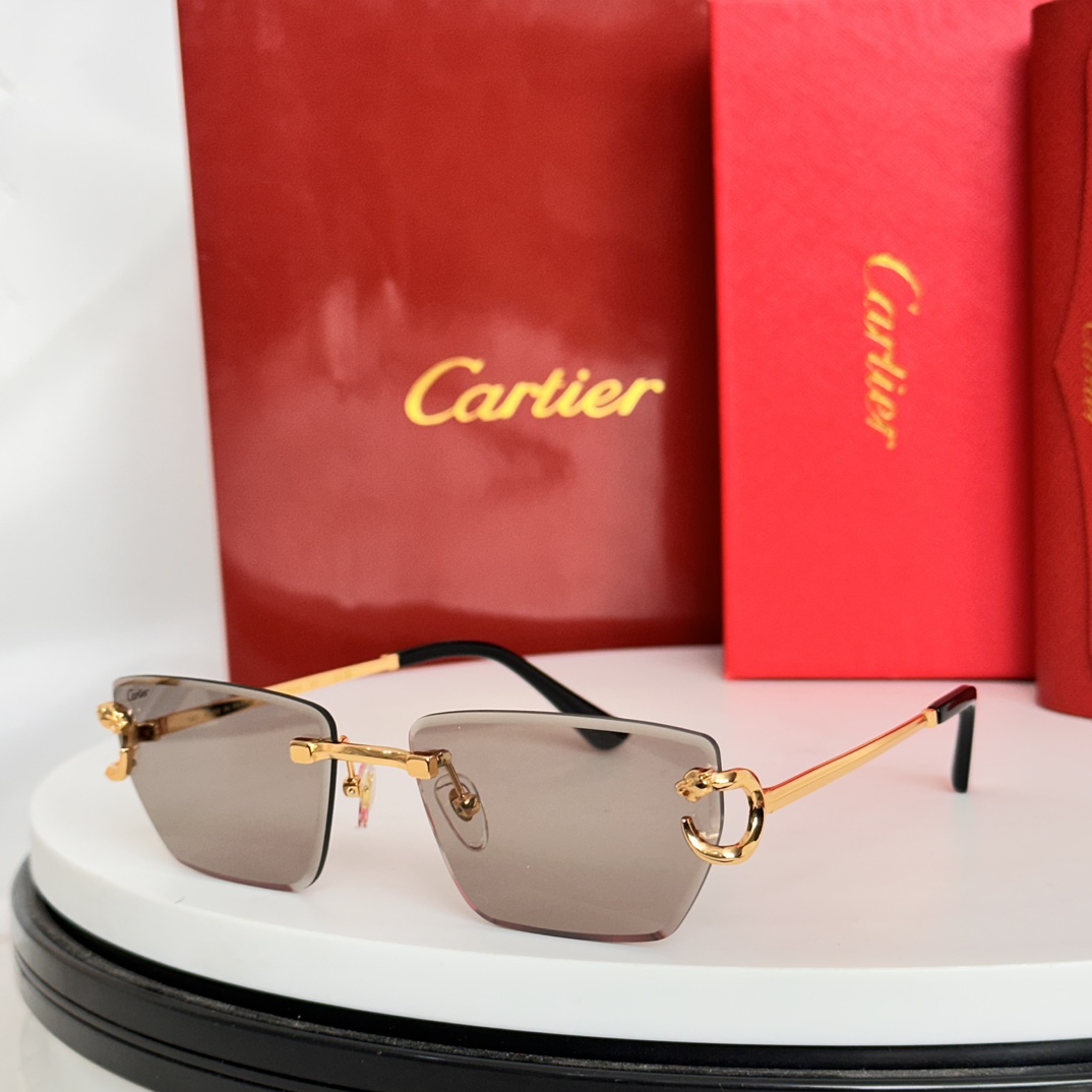️Cartie*MODELCT0634SSIZE:58口17-140