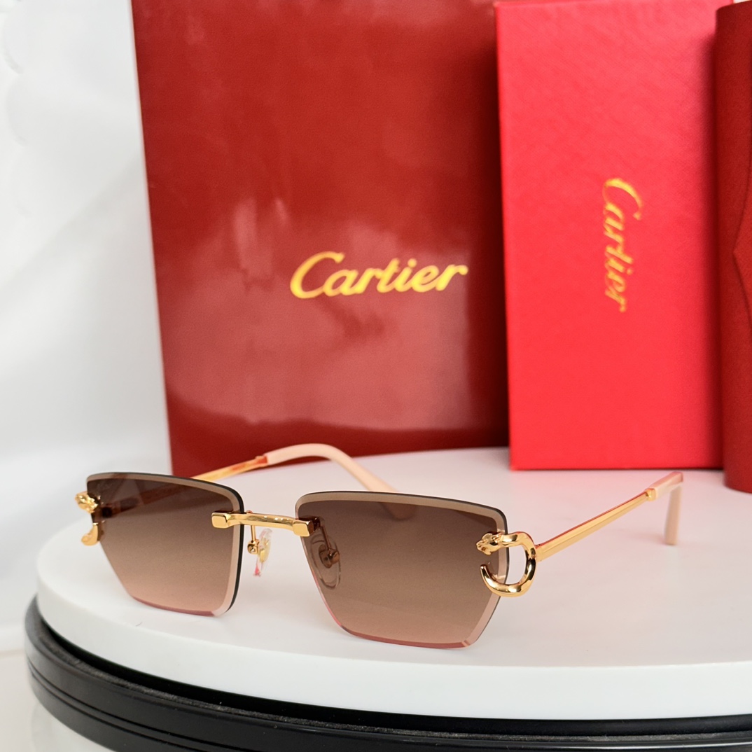 ️Cartie*MODELCT0634SSIZE:58口17-140