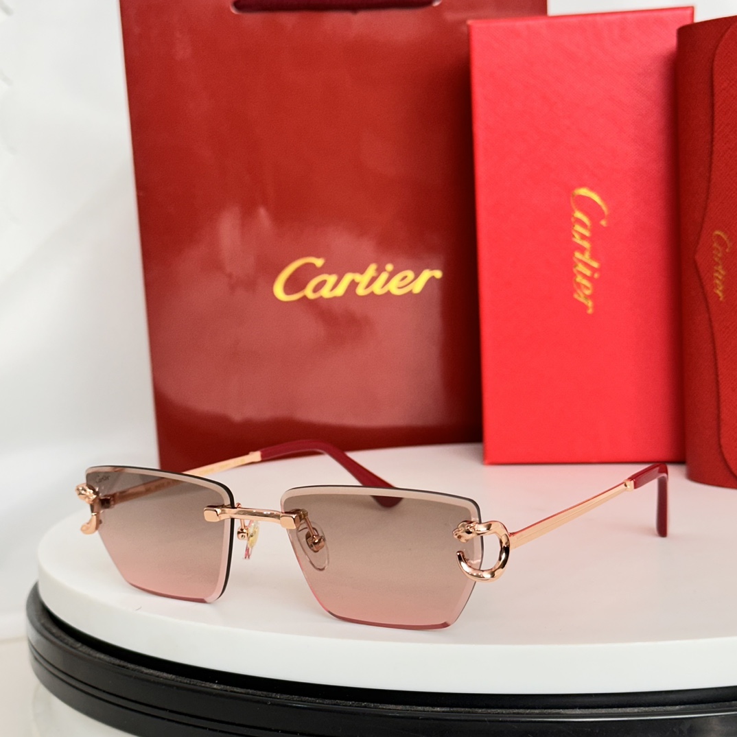 ️Cartie*MODELCT0634SSIZE:58口17-140
