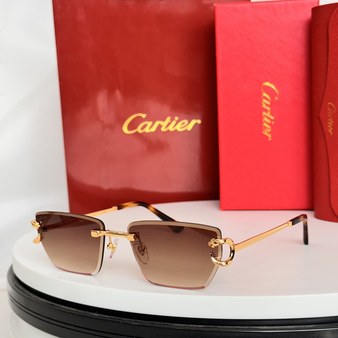 ️Cartie*MODELCT0634SSIZE:58口17-140