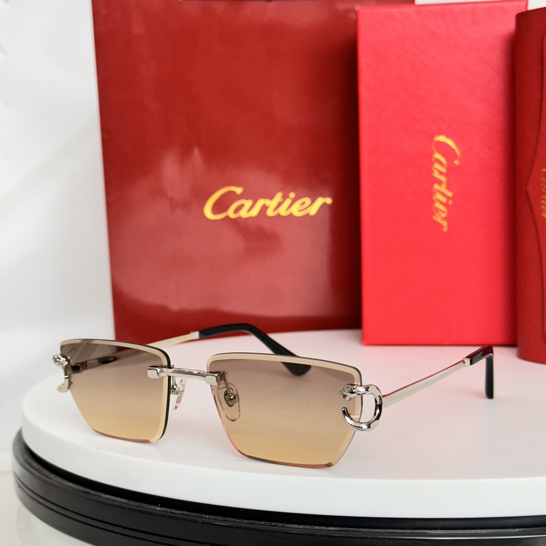 ️Cartie*MODELCT0634SSIZE:58口17-140