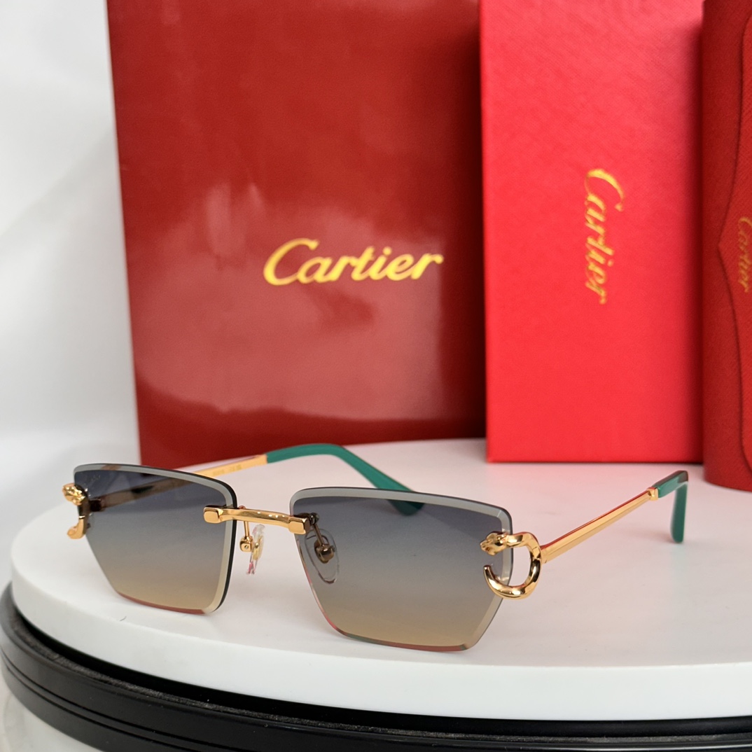 ️Cartie*MODELCT0634SSIZE:58口17-140