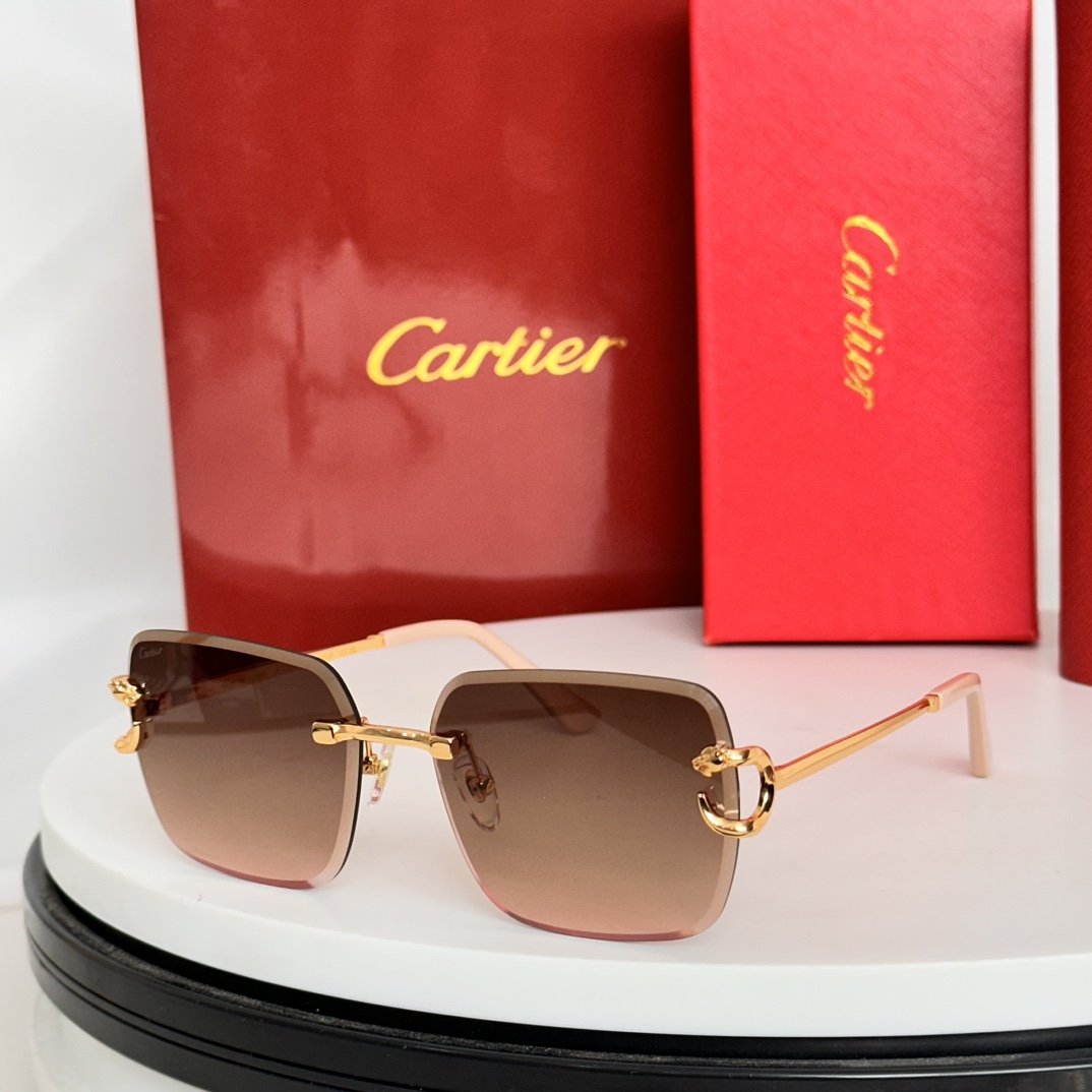 ️Cartie*MODELCT8823SIZE:58口17-140
