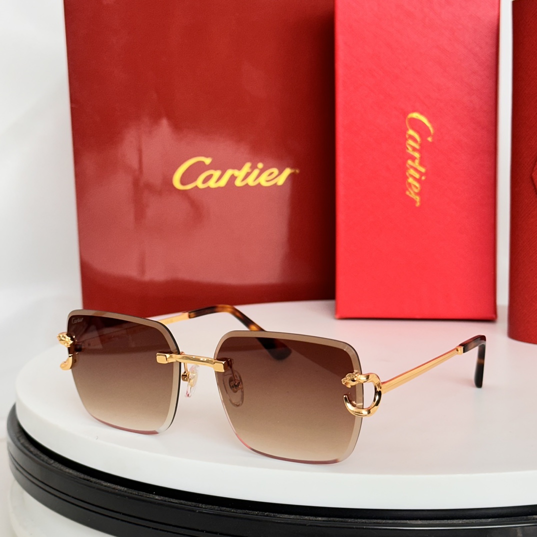 ️Cartie*MODELCT8823SIZE:58口17-140