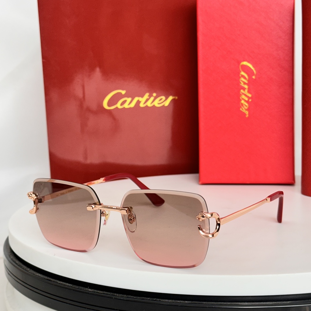 ️Cartie*MODELCT8823SIZE:58口17-140