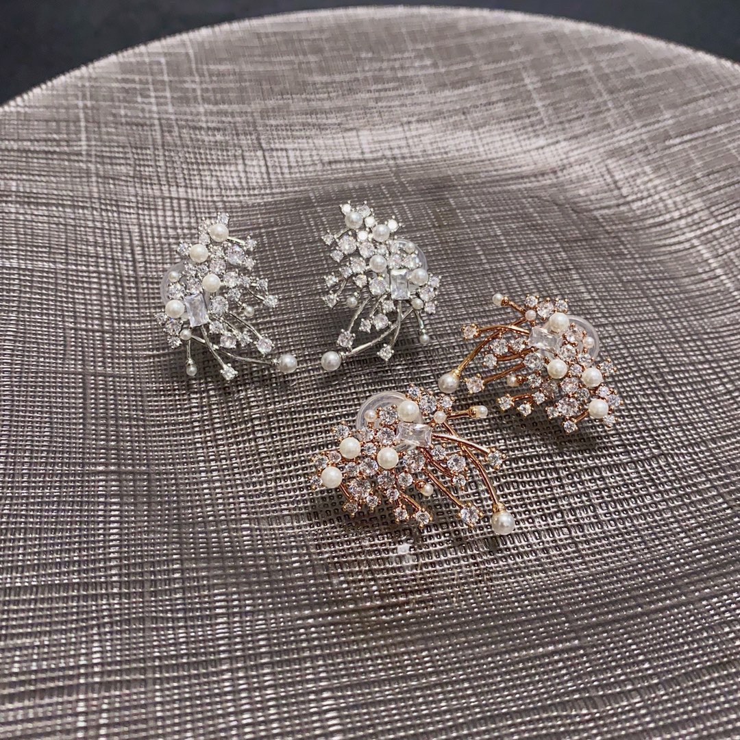 Luxury luxury earrings 6