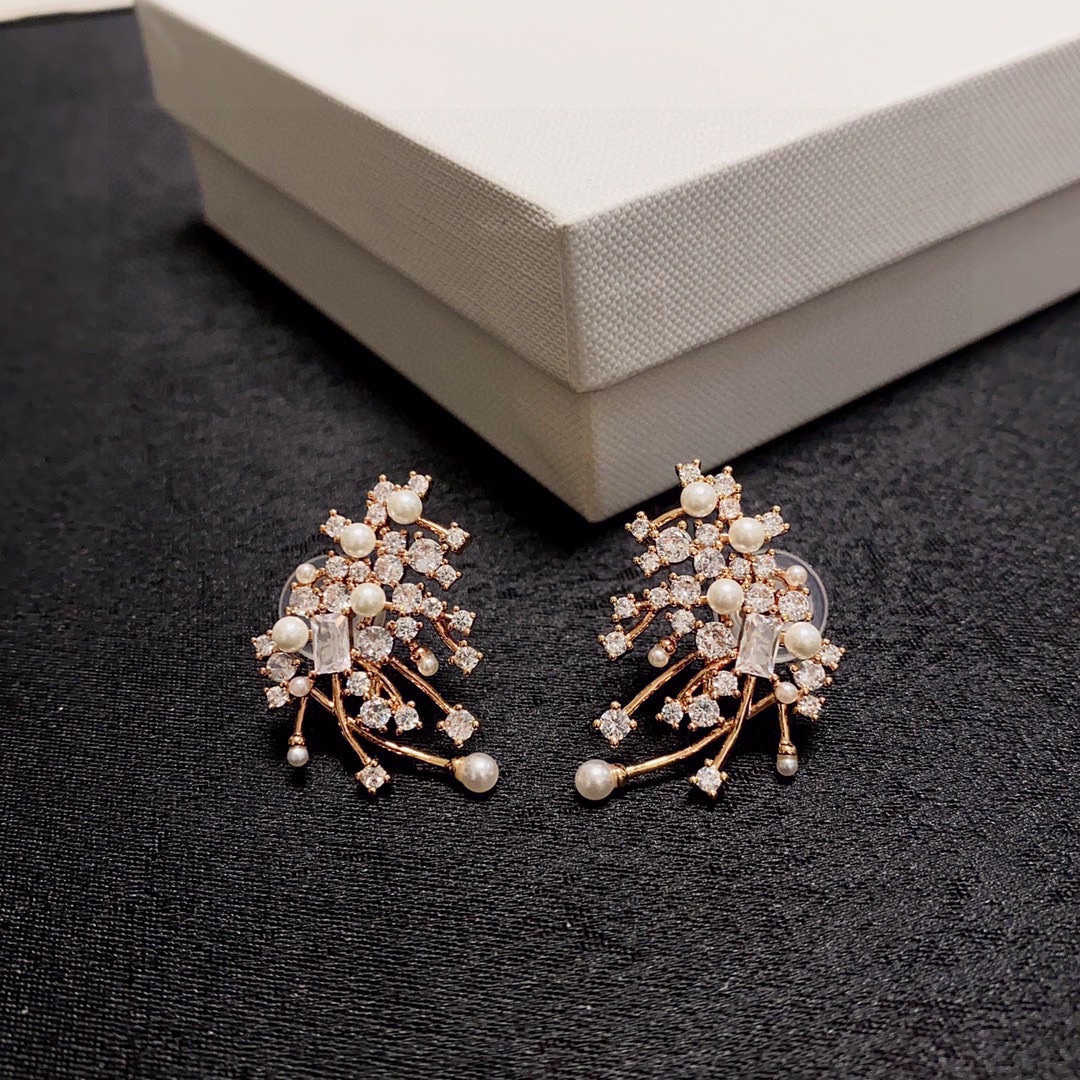 Luxury luxury earrings 5