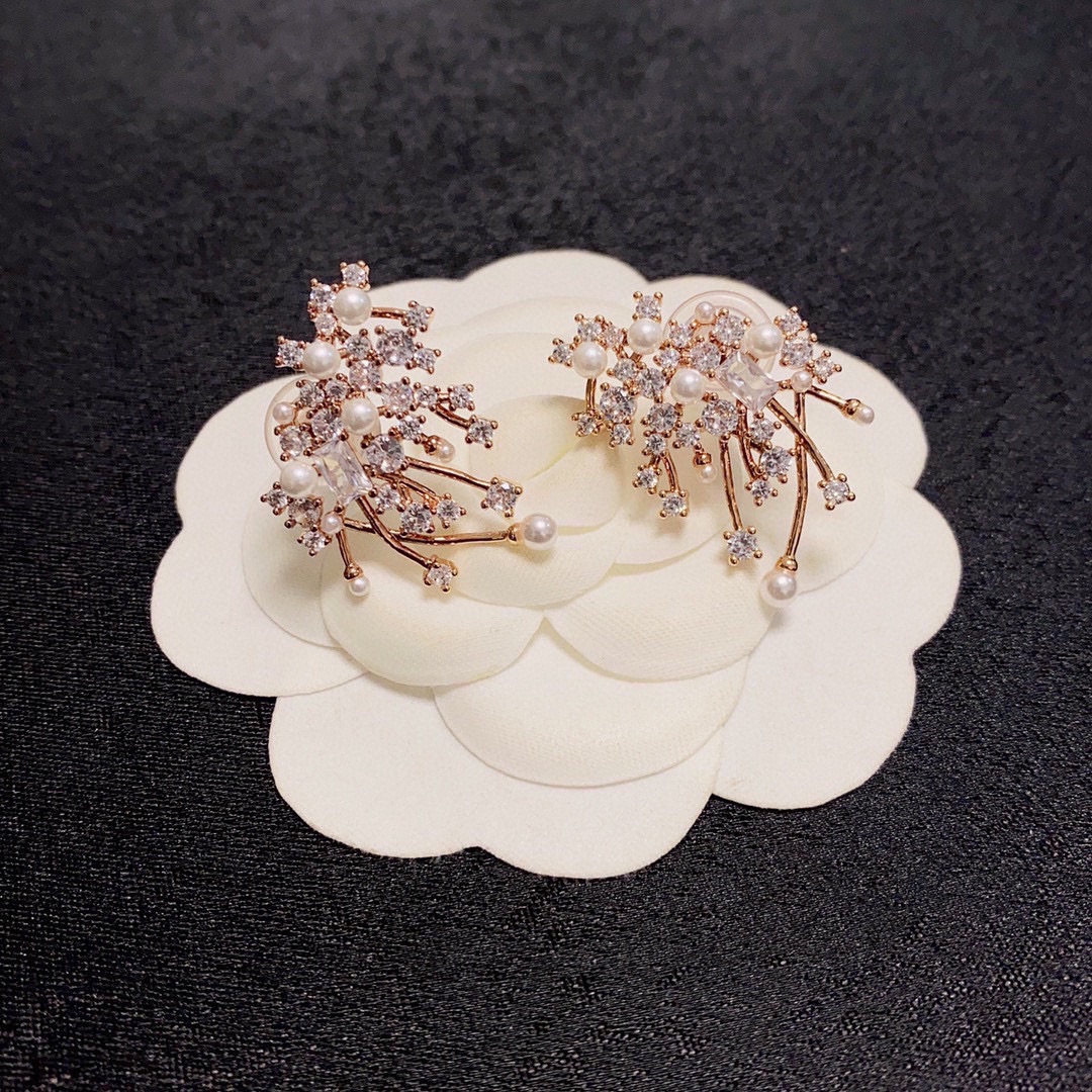 Luxury luxury earrings 4