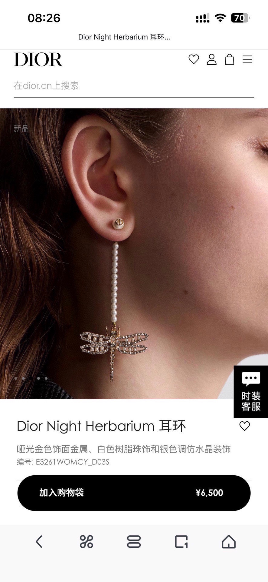 Dior Dragonfly Earrings - Comprehensive 3