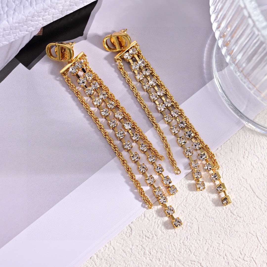 Dior luxury earrings 3