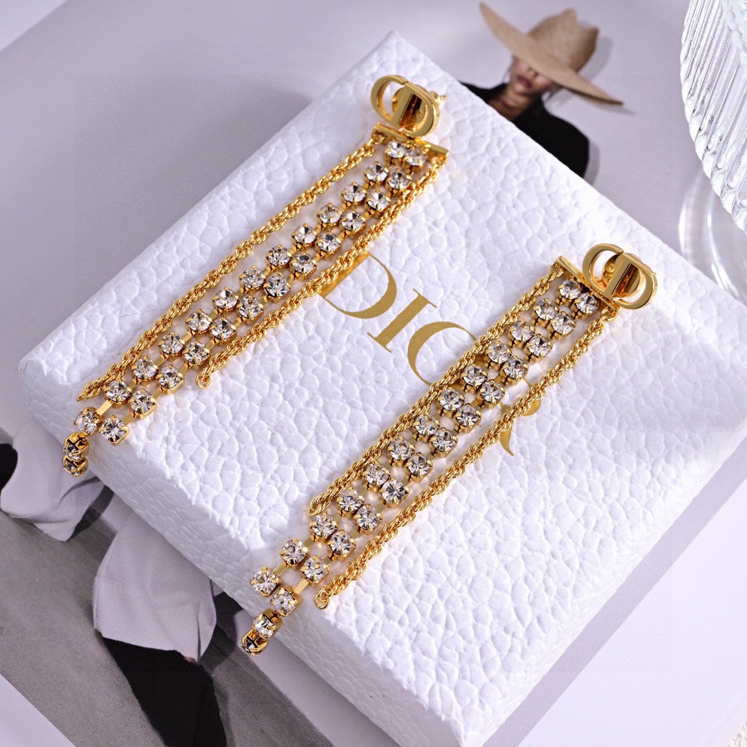 Dior luxury earrings 6