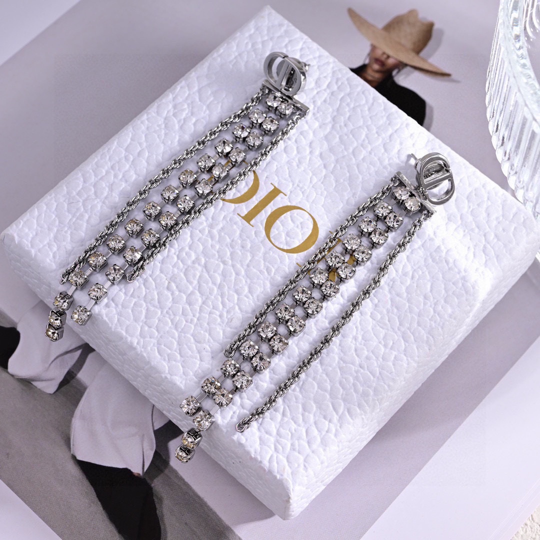 Dior luxury earrings 4
