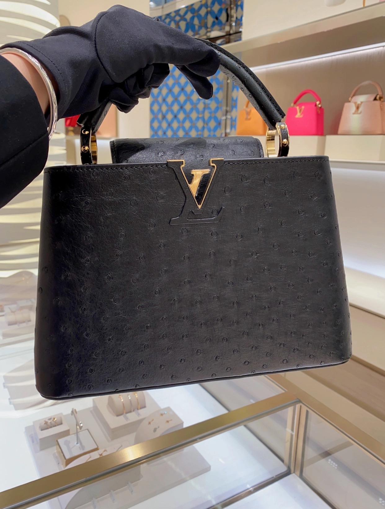 NO:741063,[Caucines handbag] M48865 24713 black (ostrich) model picture,19860909【Caucines 手袋】M48865 24713黑色（鸵鸟） 模特图,,Bag
