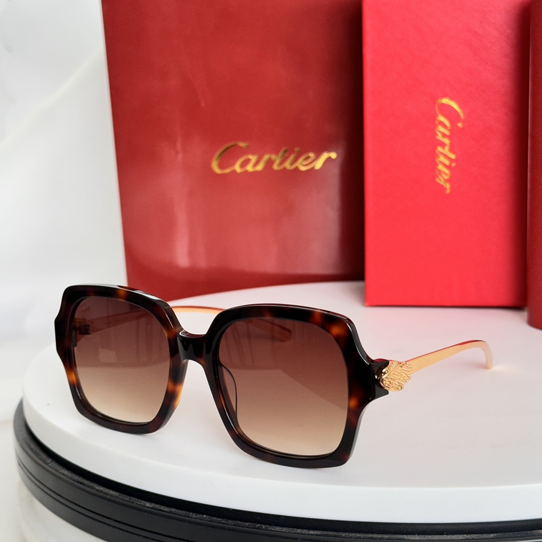 ️Cartie*MODELCT0646SSIZE:53口19-130