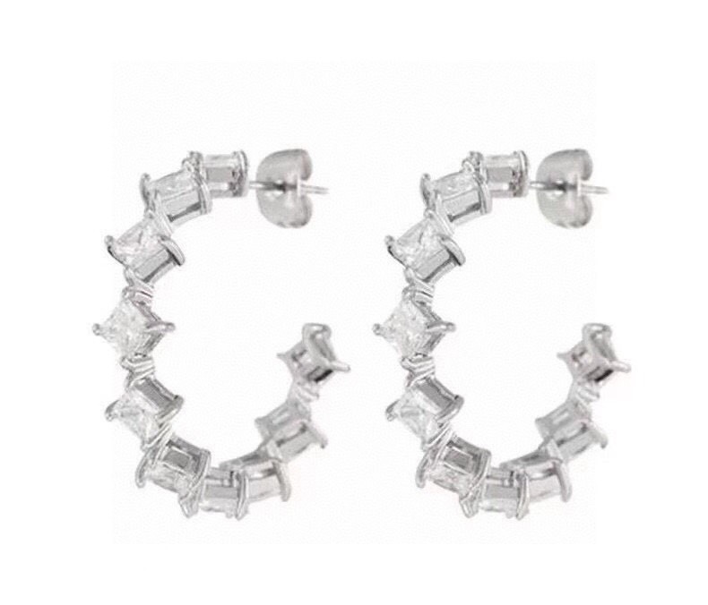 Luxury luxury earrings 2