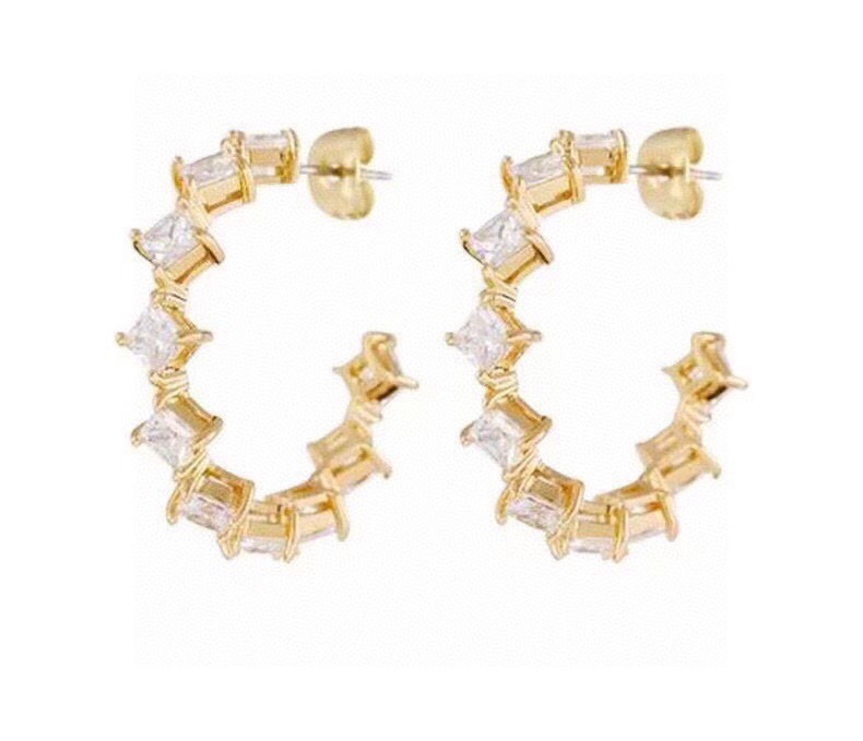 Luxury luxury earrings 4