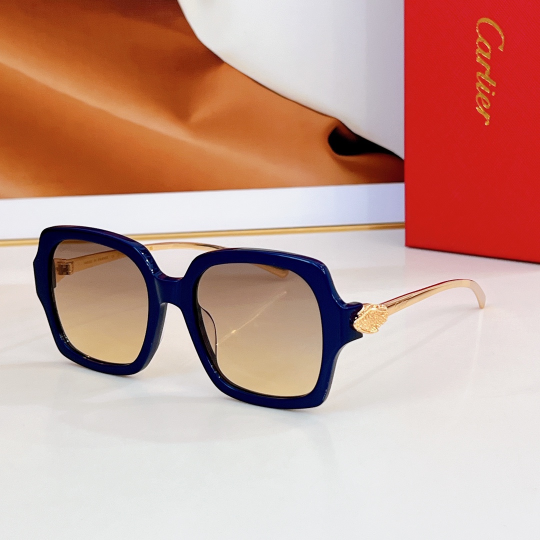 Cartie*MODELCT0646SSIZE:53口19-130