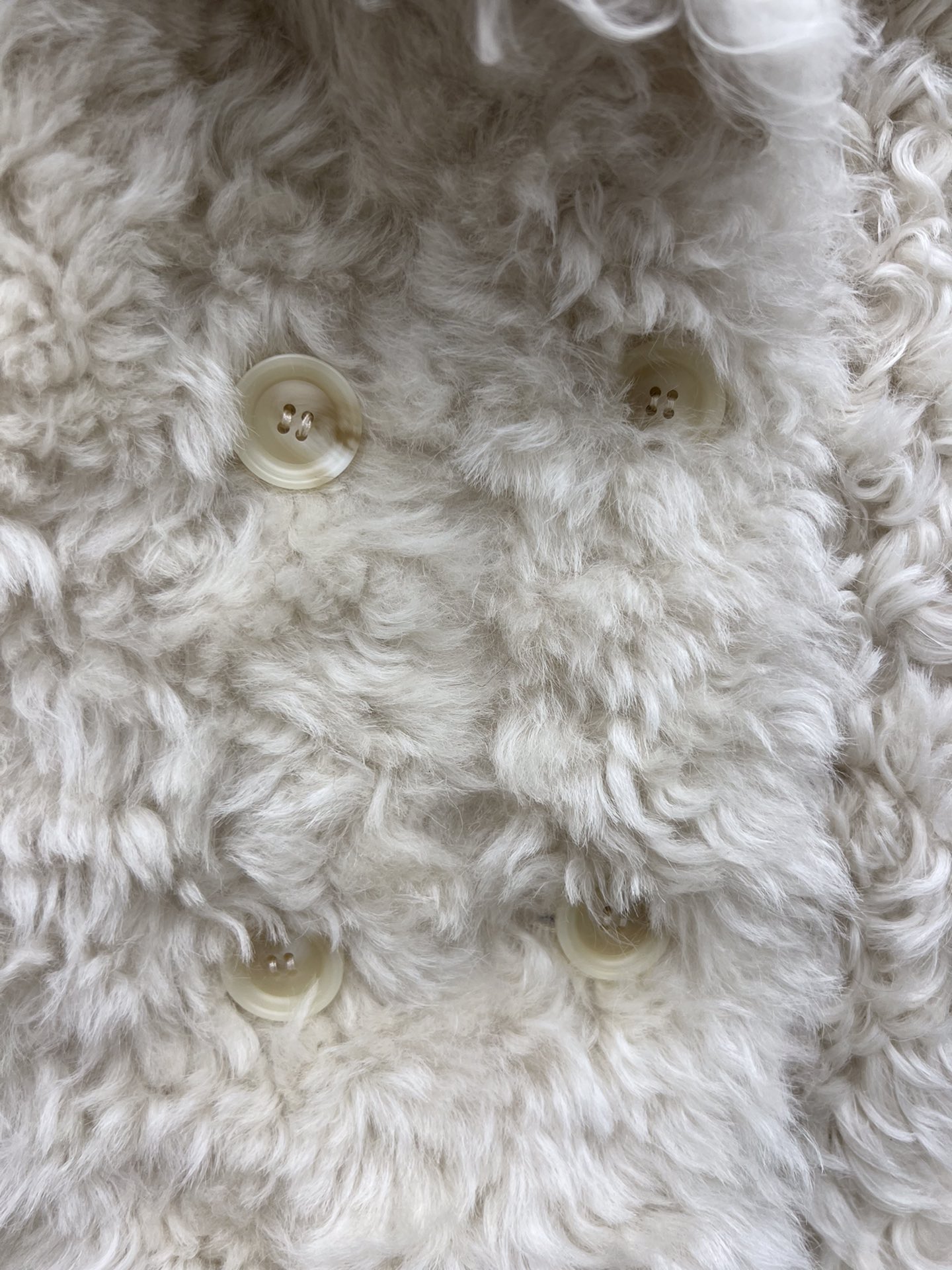 Fashion Tip: Stylish Woman with Dustproof Bag and Tuscanian Fur Ensemble - 图片 3