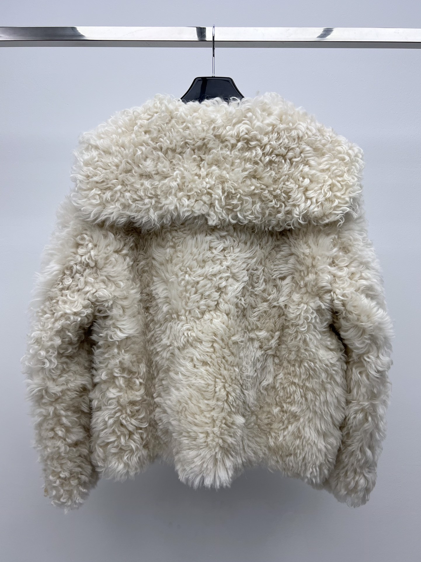 Fashion Tip: Stylish Woman with Dustproof Bag and Tuscanian Fur Ensemble - 图片 7