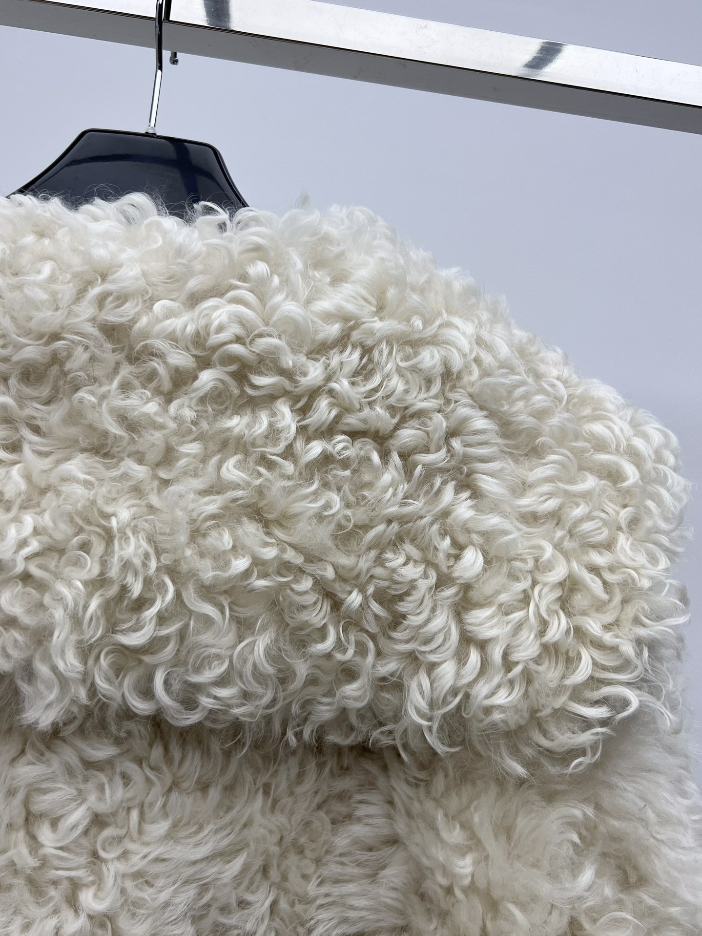 Fashion Tip: Stylish Woman with Dustproof Bag and Tuscanian Fur Ensemble - 图片 8