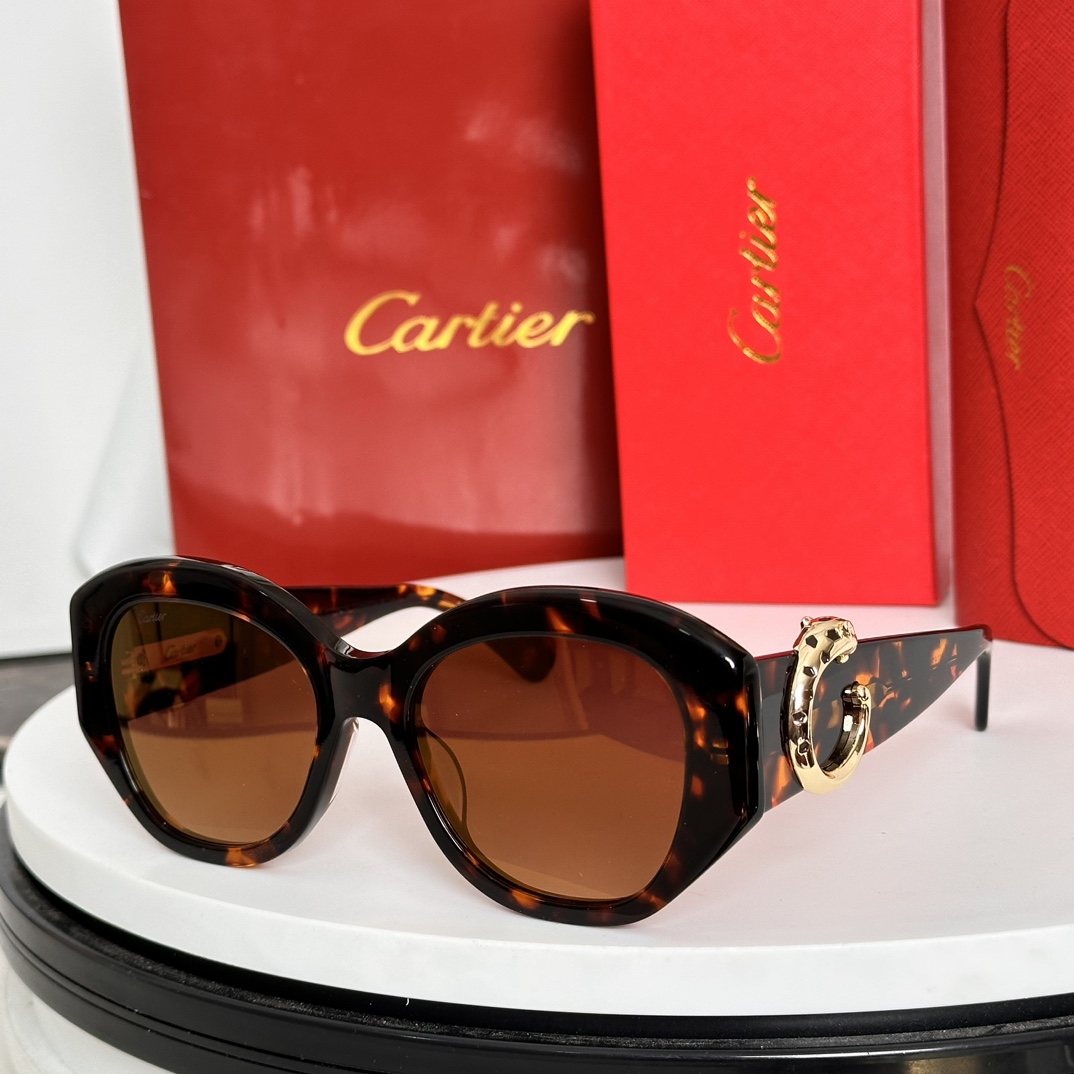 ️Cartie*MODELCT0502SSIZE:54口19-140