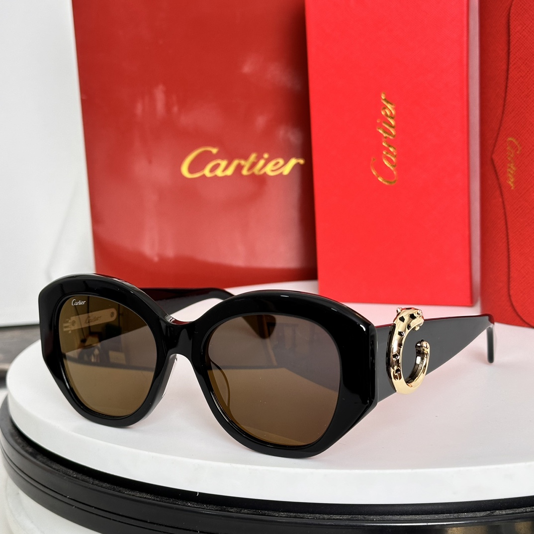 ️Cartie*MODELCT0502SSIZE:54口19-140