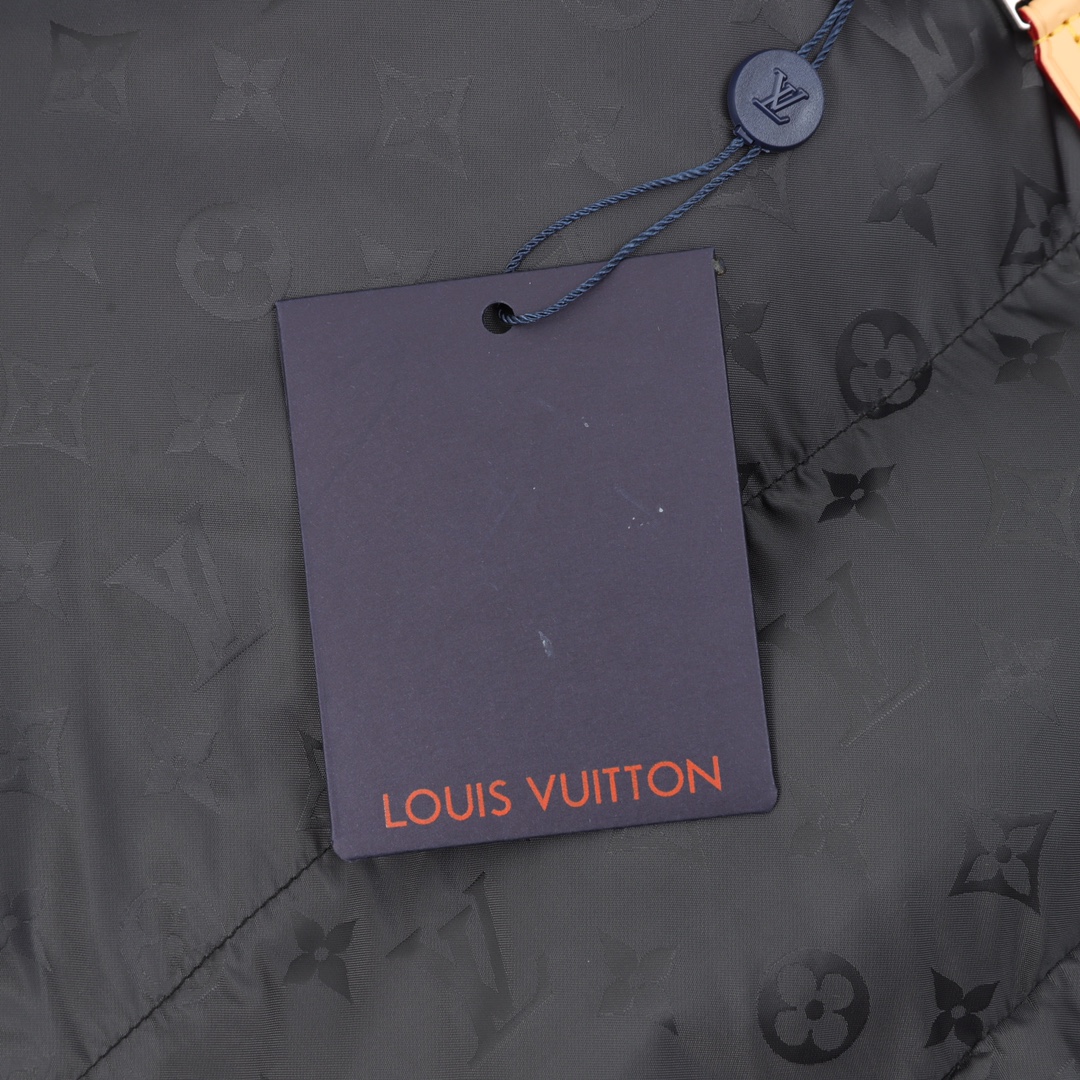 Louis Vuitton Haute Couture Haute Couture Ready-to-Wear Clothing Dress 8