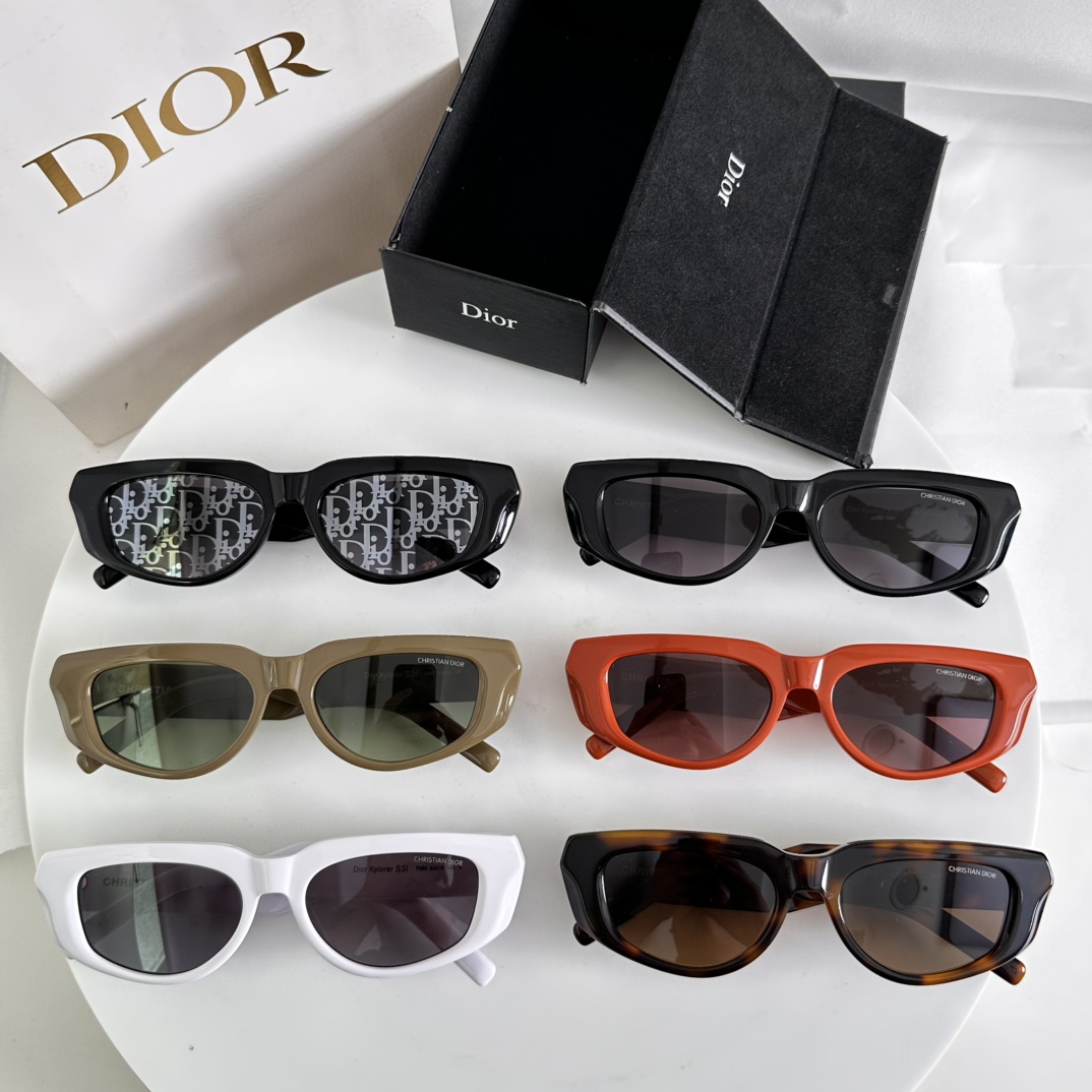 ️官网图DIORMODELCDIORS3ISIZE53口19-145