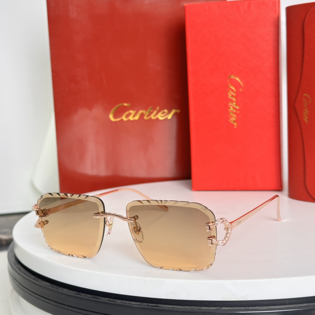 P太阳变色片️Cartie*MODELCT0576SSIZE:61口18-140