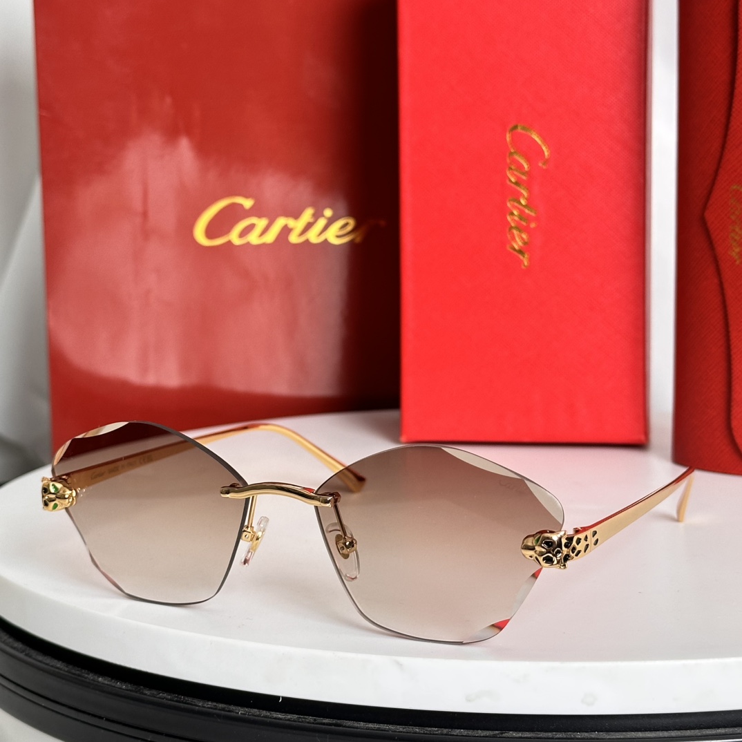 太阳变色片️Cartie*MODELCT0476SSIZE:54口18-140