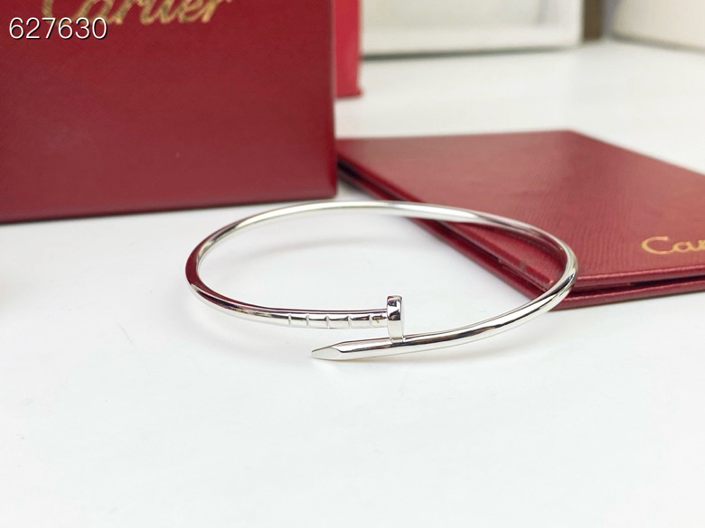 Cartier Cartier 卡地亚 细腻细版