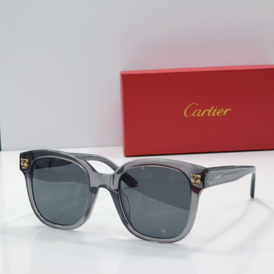 Cartier Sunglasses Acetate Gray Square Frame