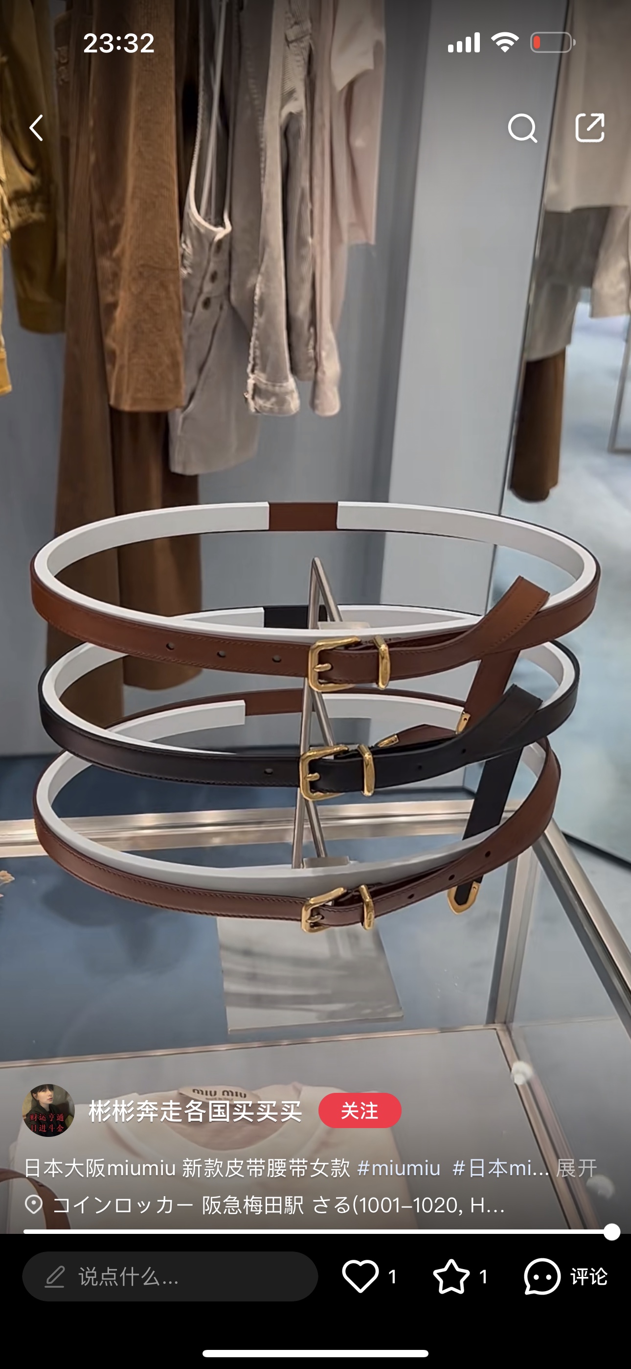 [Miu Miu Belts]