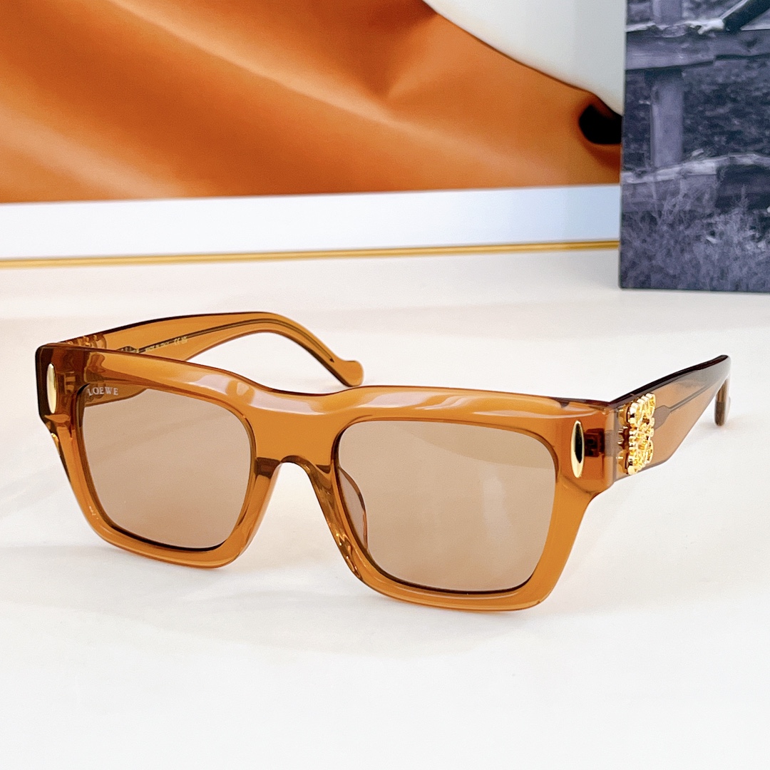 LOEWEMODELLW5098SSIZE53口20-145