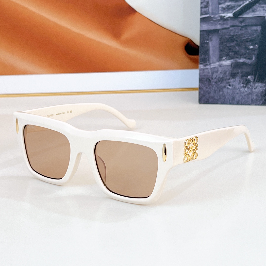 LOEWEMODELLW5098SSIZE53口20-145
