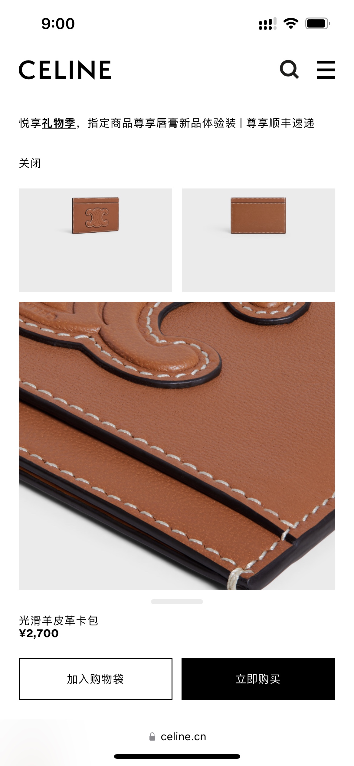 Celine - Bag 3