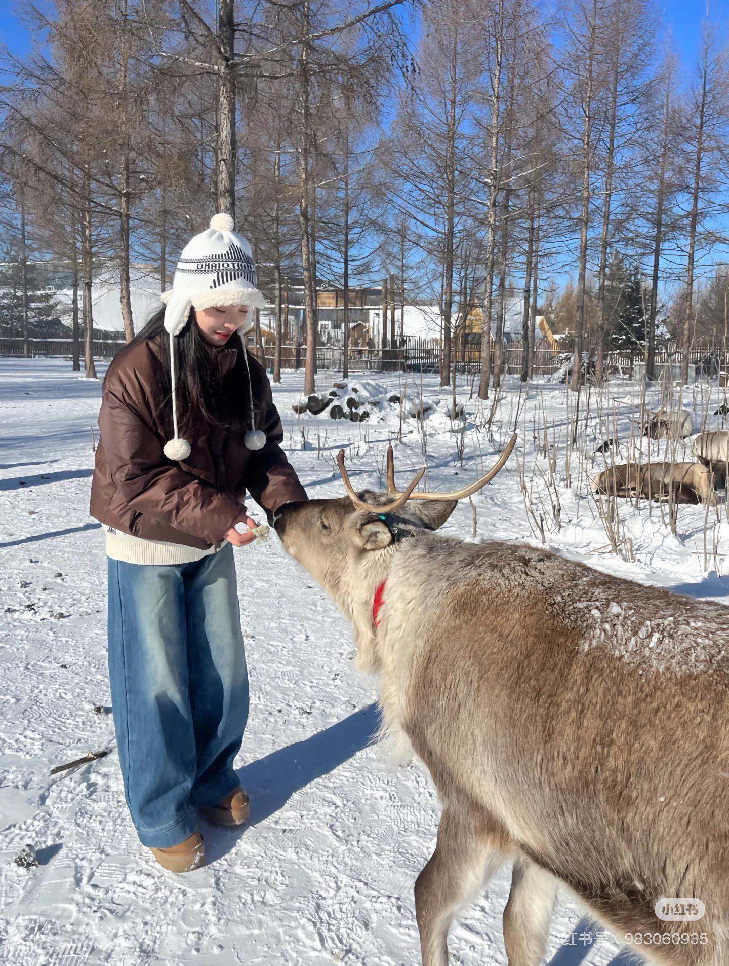 NO:218211,Dior autumn and winter new ear protection hat fisherman hat baseball hat knit hat, hat, dior, dior, espadrilles, hats19860909Dior迪奥秋冬新款护耳帽帽子渔夫帽棒球帽针织帽,帽子,dior,dior,espadrilles,hats,hat