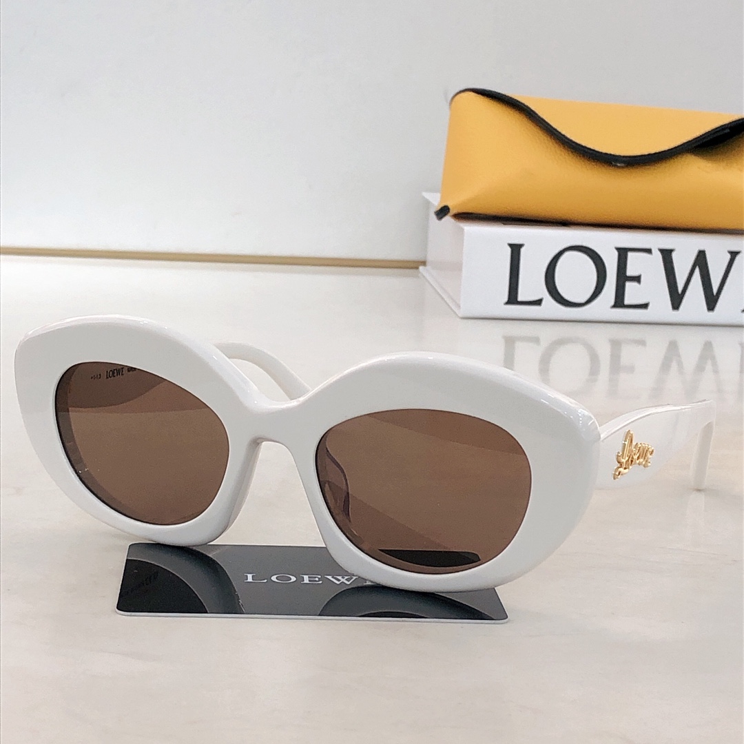 로에베 LW40153 S 선글라스 상세 이미지 2