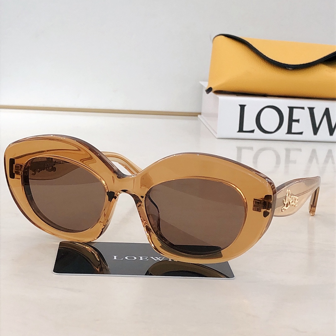 로에베 LW40153 S 선글라스 상세 이미지 6