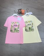The new 8793t shirt is shot and shipped pink, the two colors of the apricot color, the small and the large number of the size of the small middle 1 The new 8793t shirt is shot and shipped pink, the two colors of the apricot color, the small and the large number of the size of the small middle