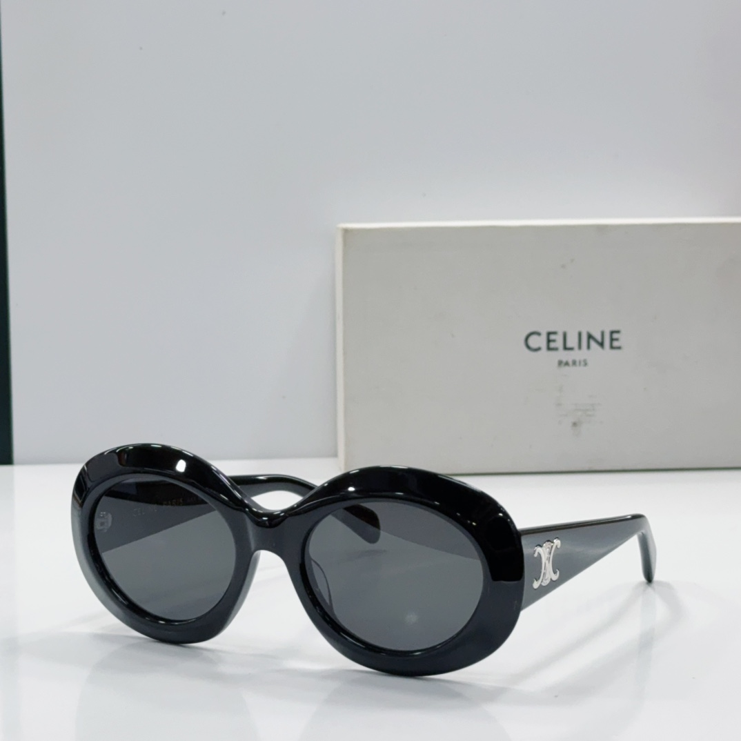 CELINE Sunglasses Acetate Oval Black