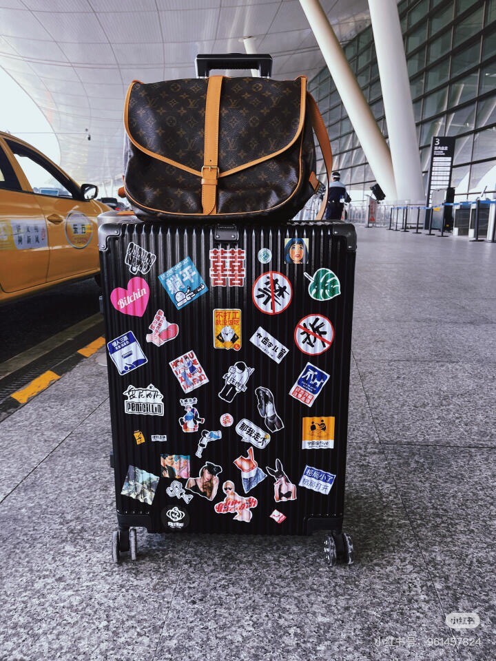 SAUMUR  手袋lv,包 9