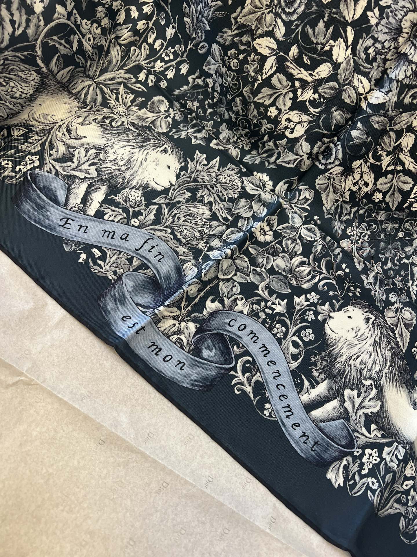 [Dior Scarves]more details