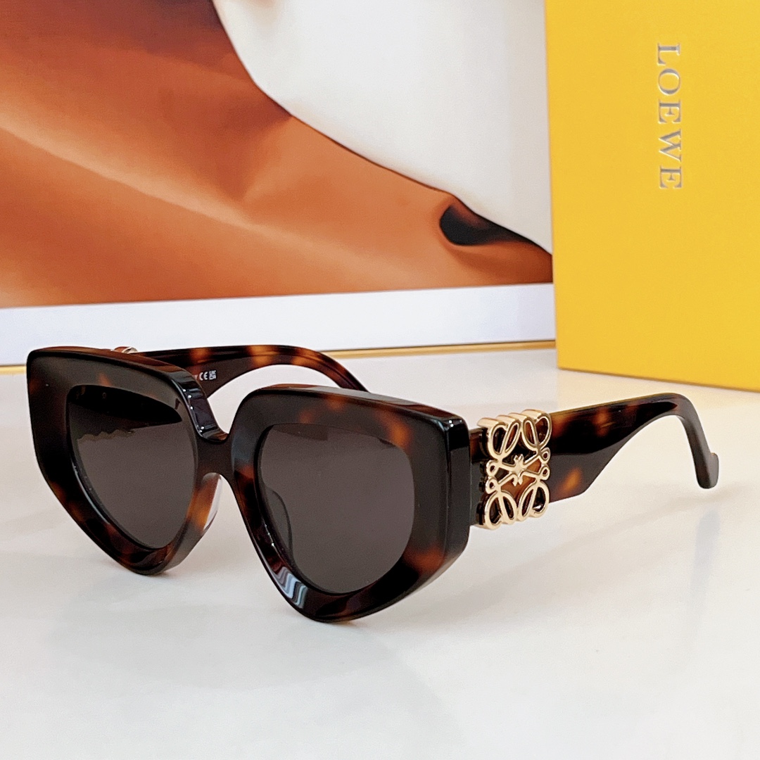  LOEWE
MODEL：LW40154U
SIZE：51口19-145
🔝🔝