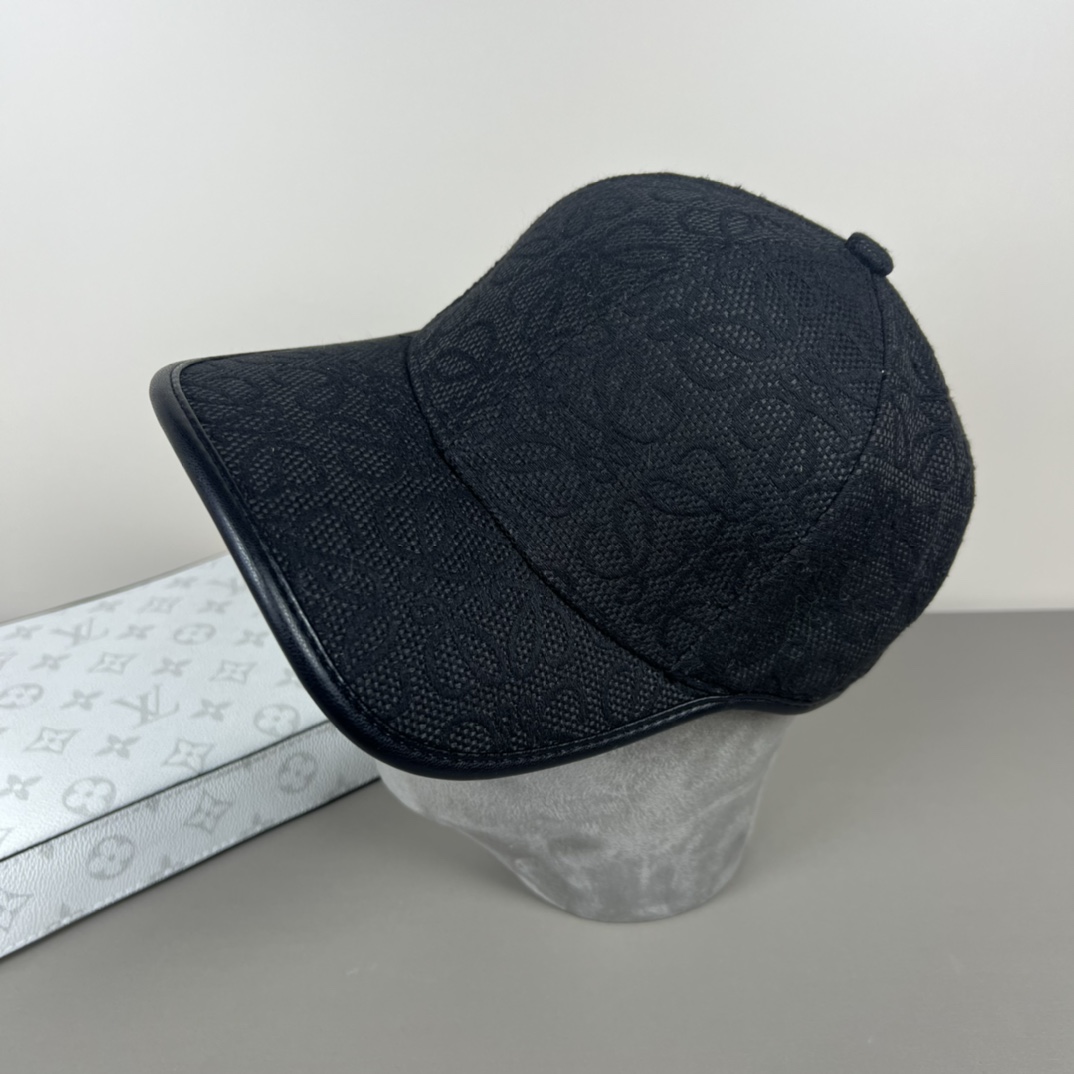 Loewe P80 Dust Bag: Original Design, Quality, Fine Work, Low-Cost, Atmosphere Walk - 图片 1