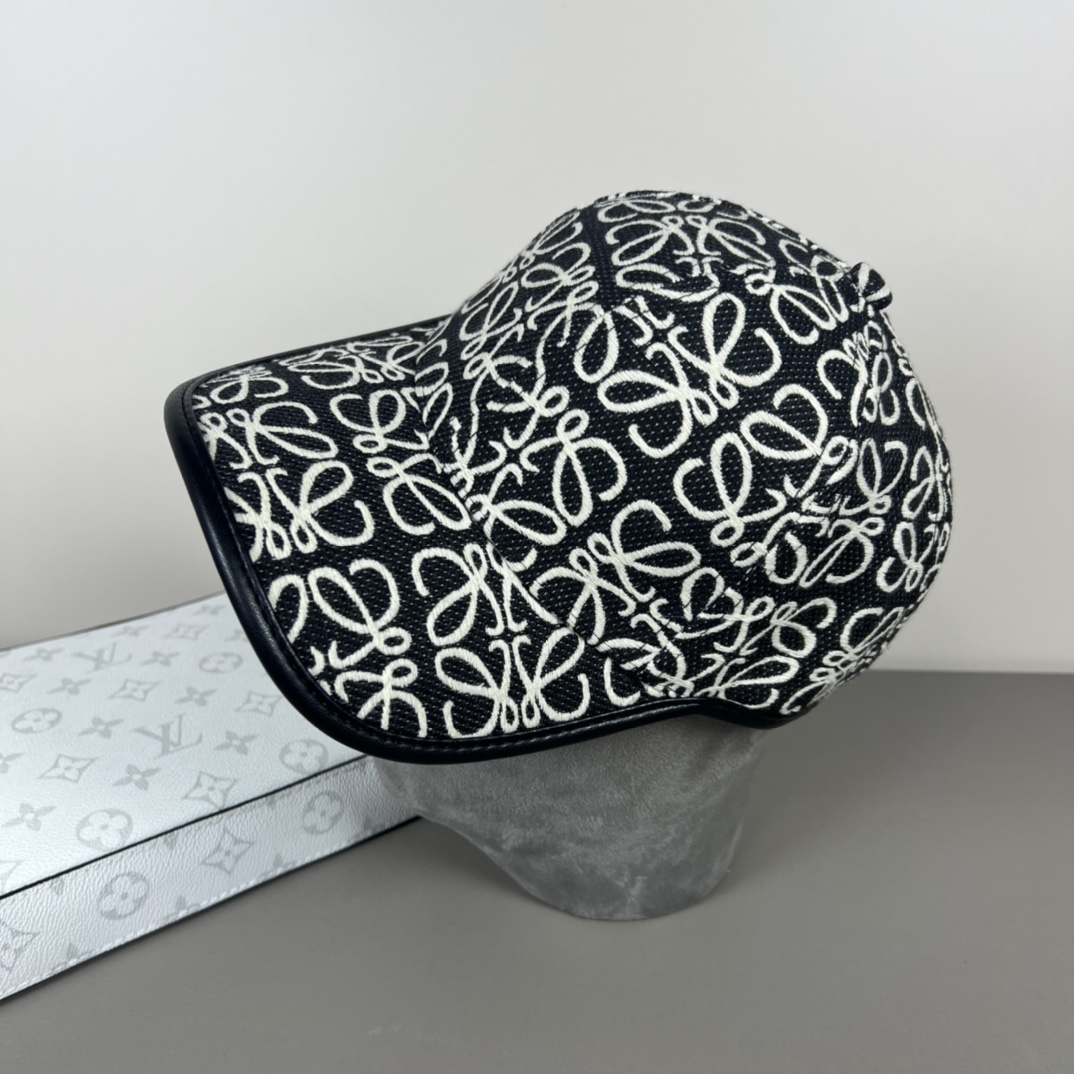 Loewe P80 Dust Bag: Original Design, Quality, Fine Work, Low-Cost, Atmosphere Walk - 图片 3