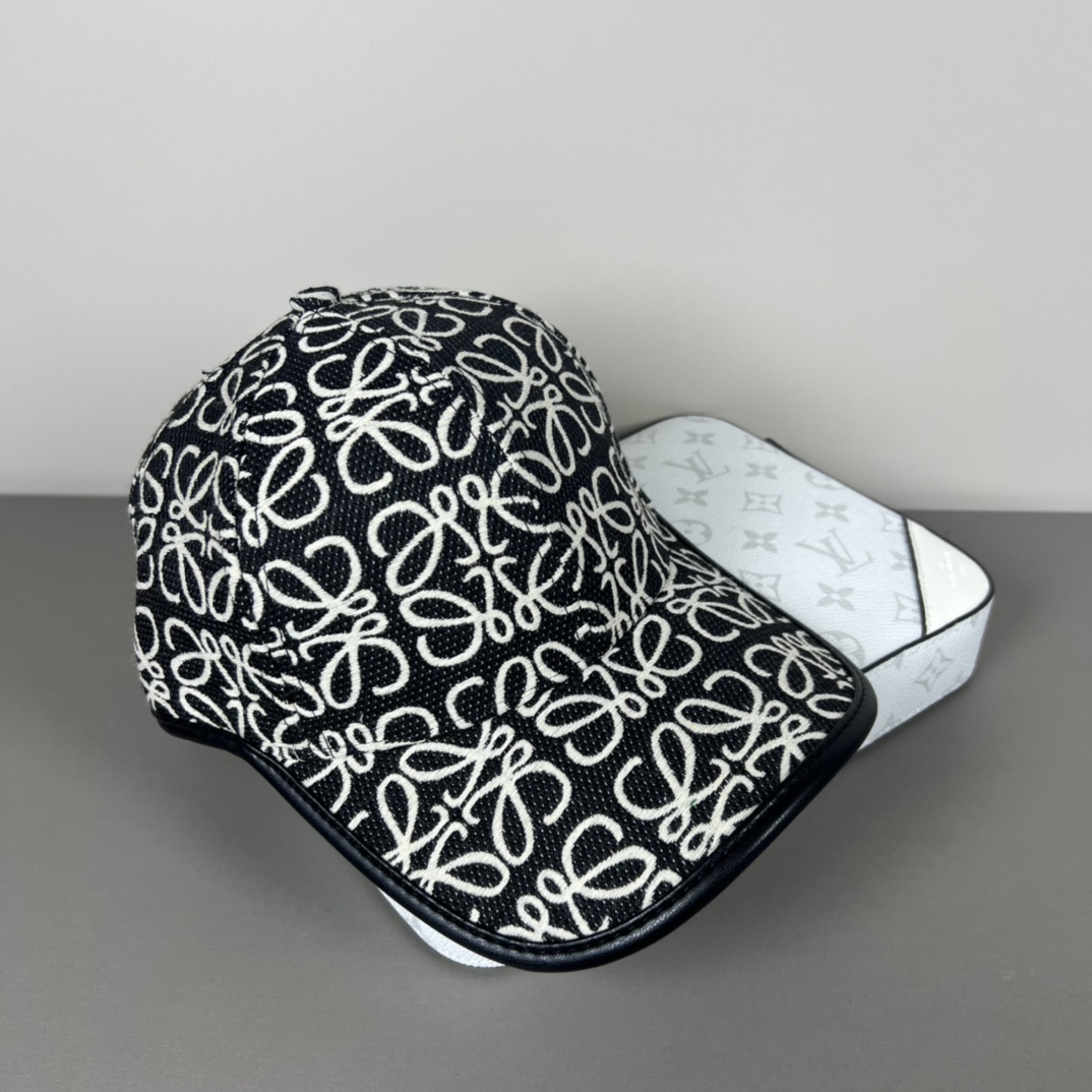 Loewe P80 Dust Bag: Original Design, Quality, Fine Work, Low-Cost, Atmosphere Walk - 图片 5