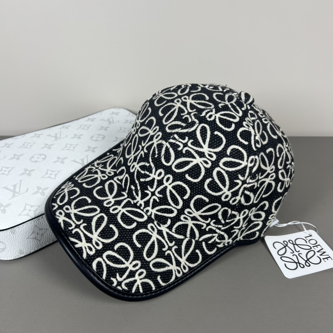 Loewe P80 Dust Bag: Original Design, Quality, Fine Work, Low-Cost, Atmosphere Walk - 图片 4