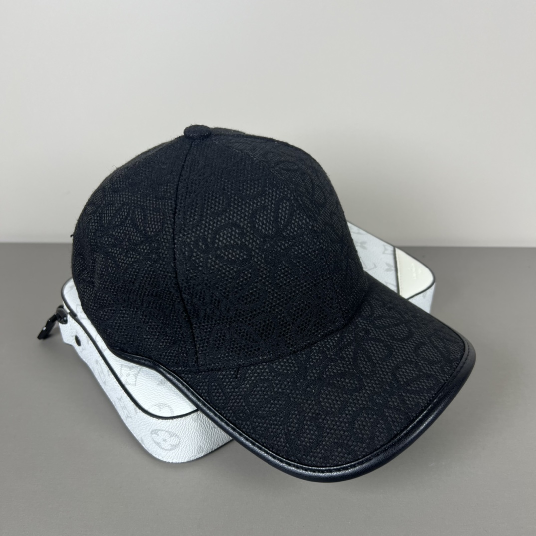 Loewe P80 Dust Bag: Original Design, Quality, Fine Work, Low-Cost, Atmosphere Walk - 图片 2