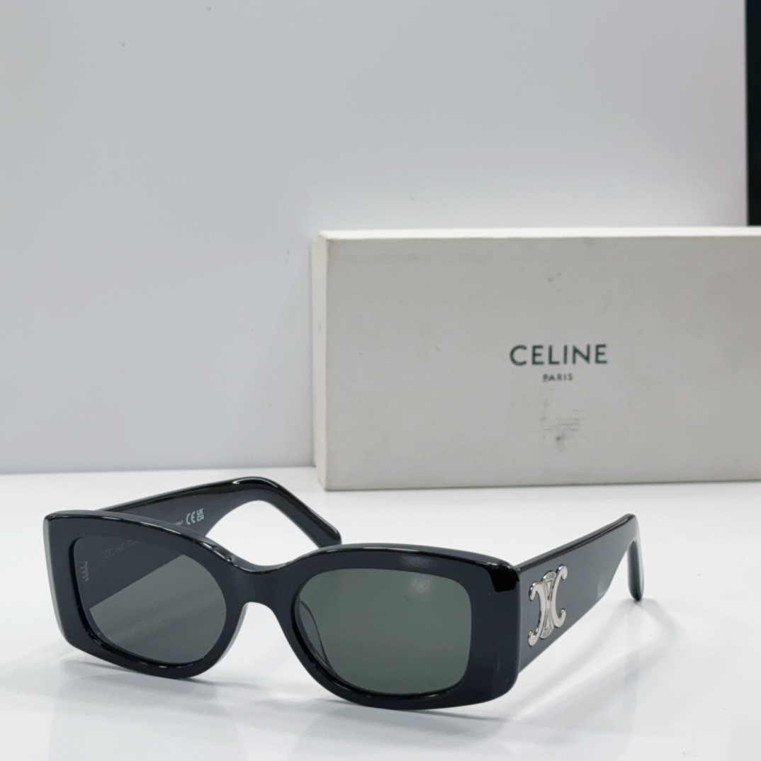 CELINE Sunglasses Acetate Black Rectangular
